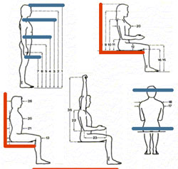 Human proportions in interior design