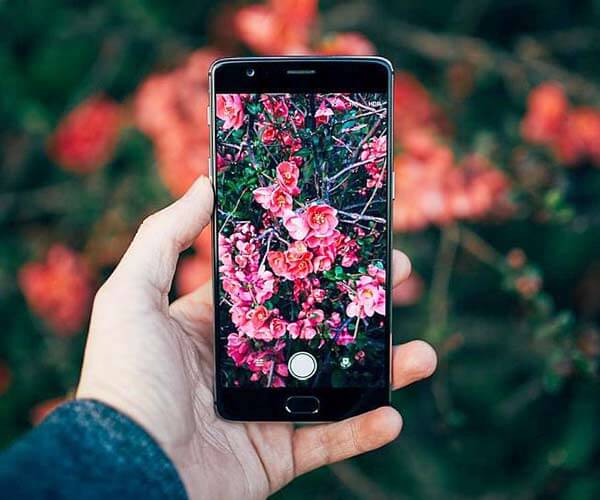 عکاسی با موبایل از گلها