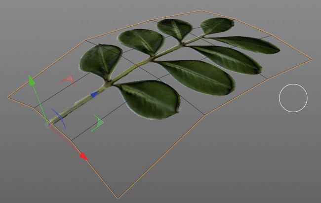 step_1creat گیاهان طبیعی در Cinema 4D