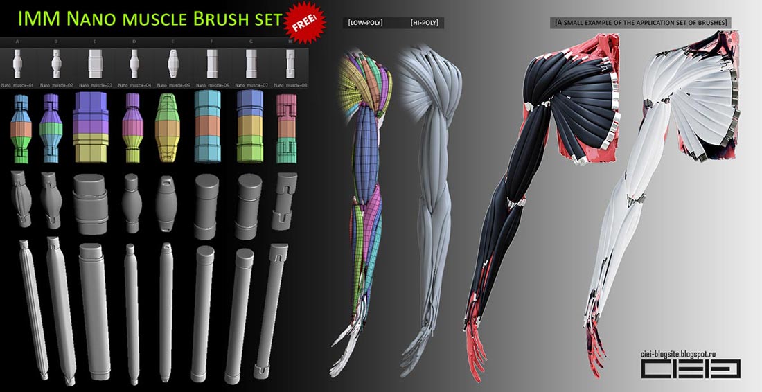 zbrush_working_space