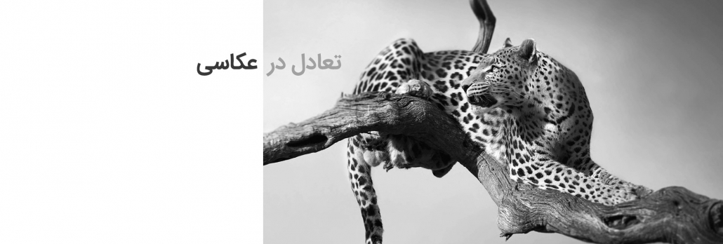 تعادل در عکس