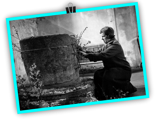 آموزش حرفه ای عکاسی آموزش حرفه ای عکاسی