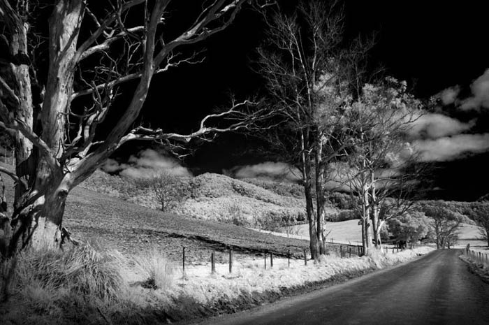 nature_photography_infrared عکاسی مادون قرمز با دوربین عکاسی قدیمی