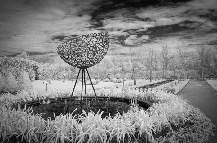 what_is_infrared_photography عکاسی مادون قرمز از طبیعت زمستان