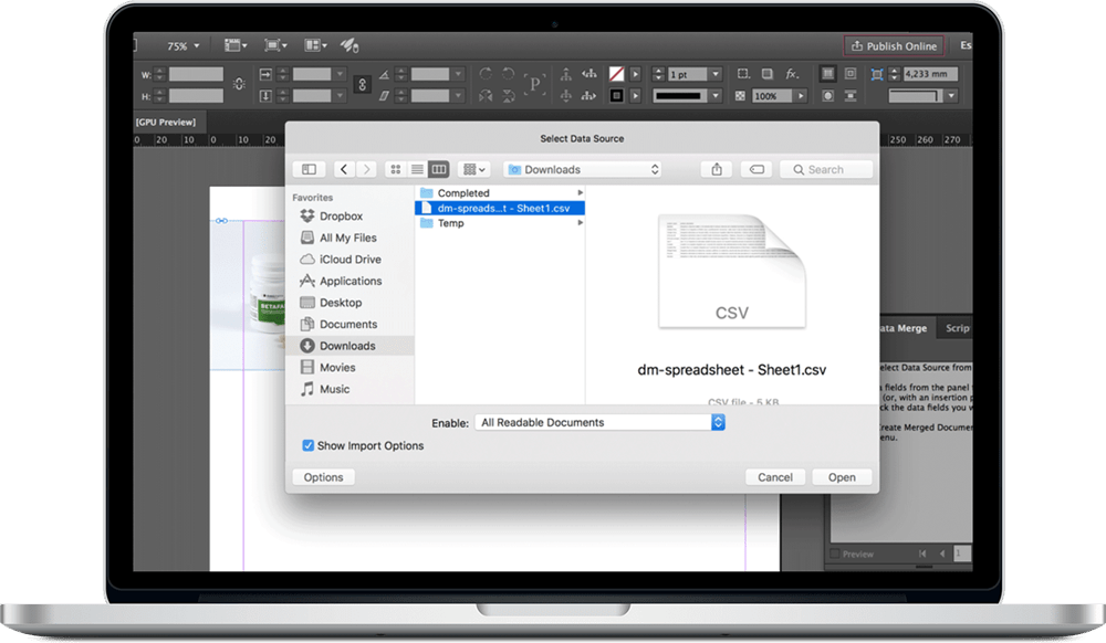 Data_Merge_InDesign_10