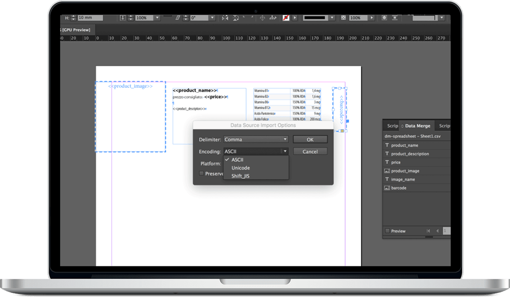 Data_Merge_InDesign_19