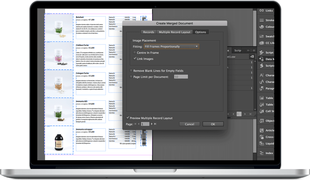 Data_Merge_InDesign_25