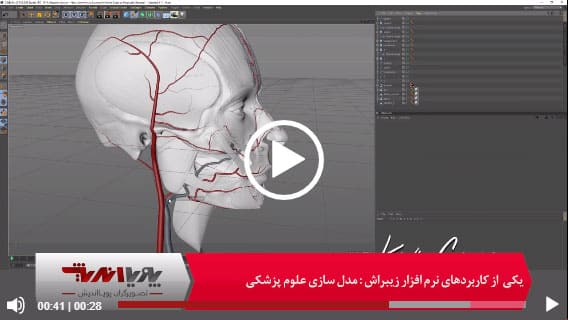 مدل سازی علوم پزشکی