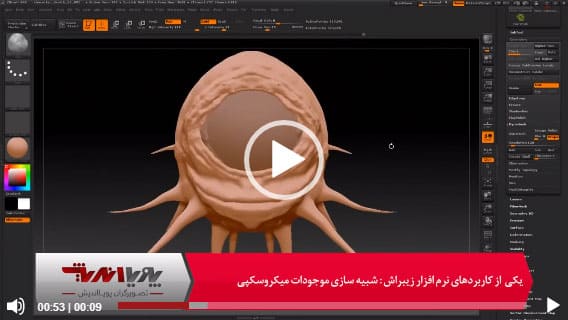 شبیه سازی موجودان میکروسکوپی
