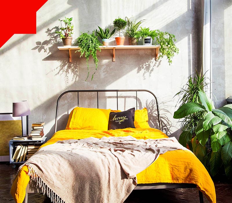 فضای سبز اتاق خواب کوچک فضای سبز اتاق خواب کوچک