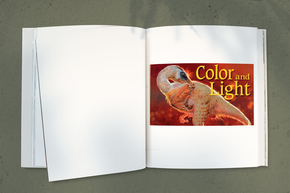 10-illustration-books_5 کتاب آموزش تصویرسازی؛ رنگ و نور