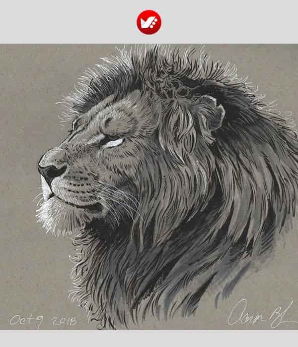 animal_drawing_03 چگونه شیر بکشیم