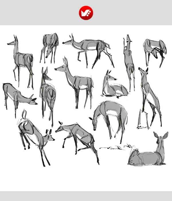 animal_drawing_06 15 نکته طلایی برای نقاشی حیوانات