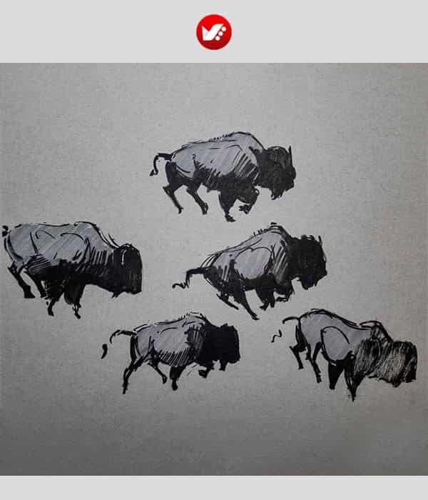 animal_drawing_07 15 نکته طلایی برای نقاشی حیوانات