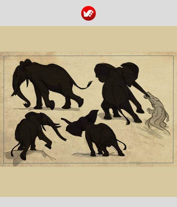 animal_drawing_12 آموزشگاه آنلاین هنرهای تجسمی