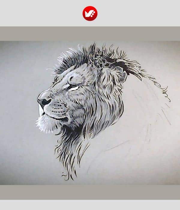 animal_drawing_13 آموزش هنرهای تجسمی