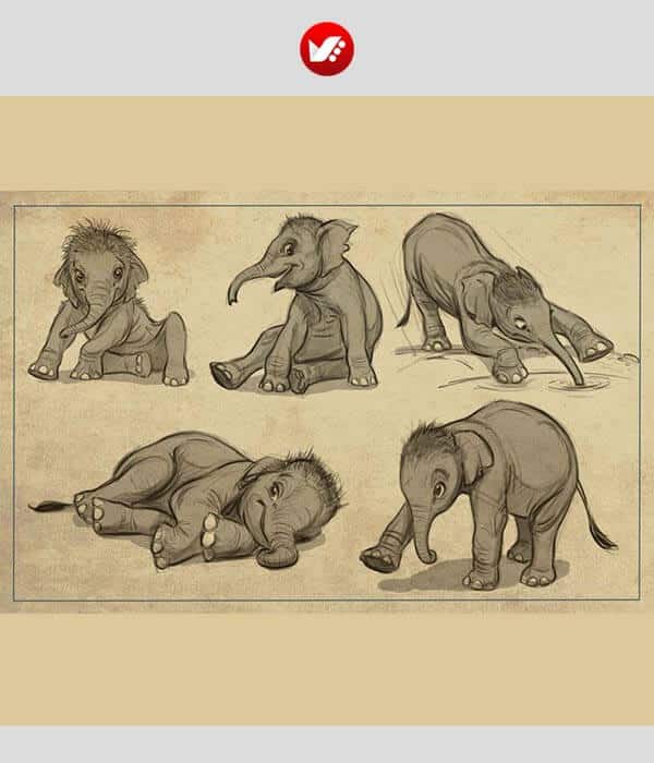 animal_drawing_16 آموزش حرفه ای تصویرسازی
