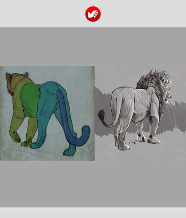 animal_drawing_17 آموزشگاه آنلاین تصویرسازی