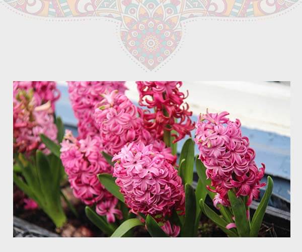 دکوراسیون خانه های ایرانی چیدن تابلو در دکوراسیون خانه های ایرانی