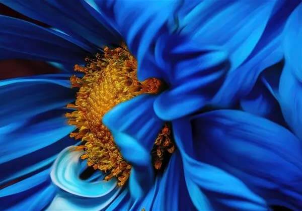 نحوۀ استفاده از رنگ های مکمل در عکاسی