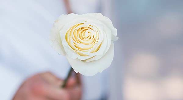 دیافراگم (Aperture) در عکاسی دیافراگم دوربین چیست