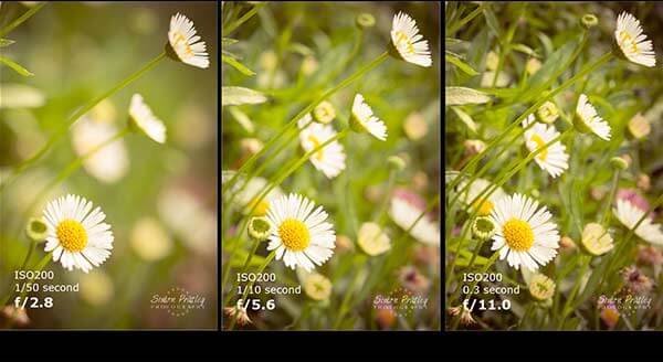 دیافراگم (Aperture) در عکاسی دیافراگم در عکاسی چیست