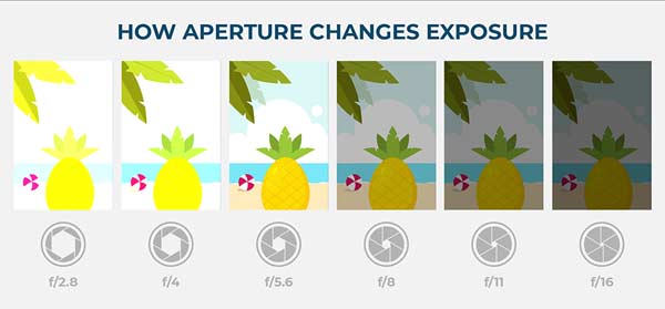 دیافراگم (Aperture) در عکاسی دکمه تنظیم دیافراگم دوربین