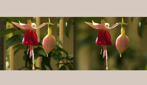 دیافراگم (Aperture) در عکاسی دیافراگم دوربین کجاست