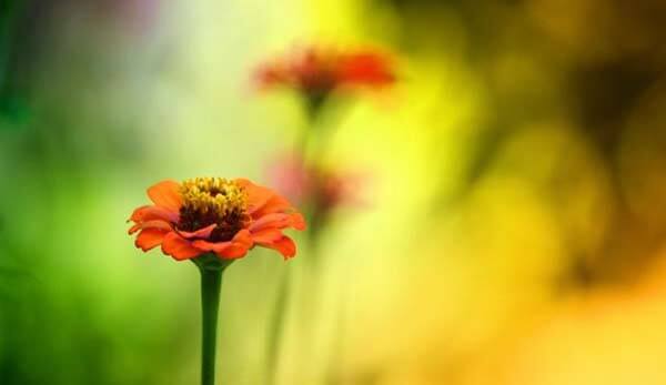 دیافراگم (Aperture) در عکاسی آموزش دیافراگم در عکاسی
