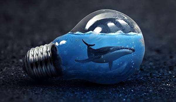 راهنمای منیپولیشن عکس آموزش عکاسی حرفه ای