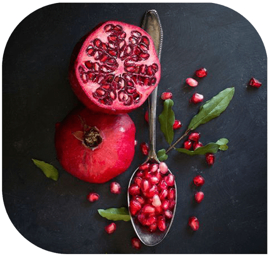 yaldanight7-min ژست عکاسی شب یلدا