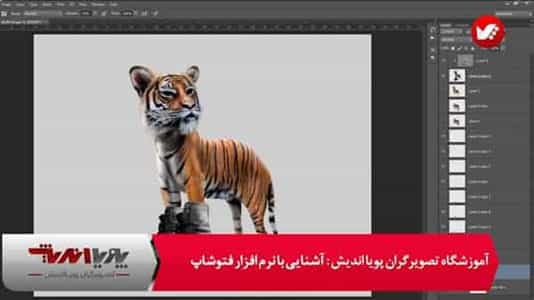 فتومونتاژ ببر