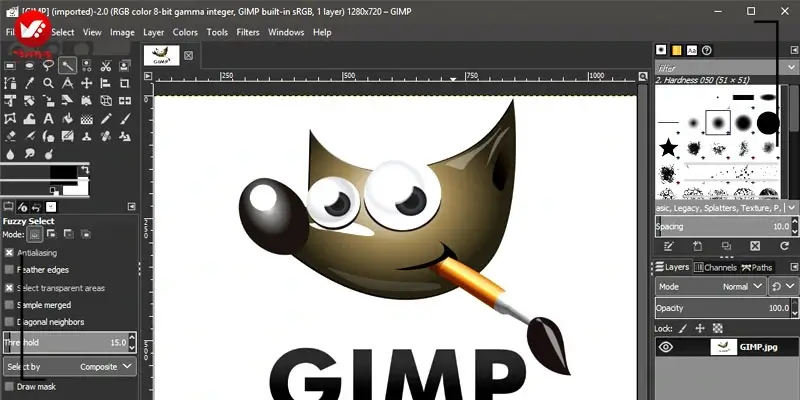 Gimp