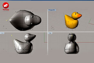 nurbs در راینو