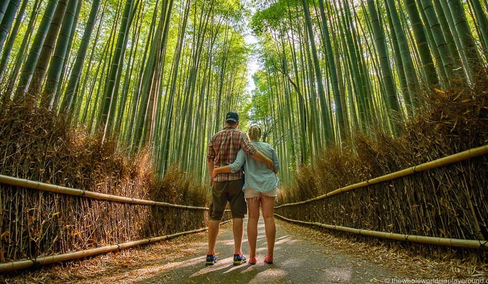 japan_ehsan_dolat_tour_bamboo_2