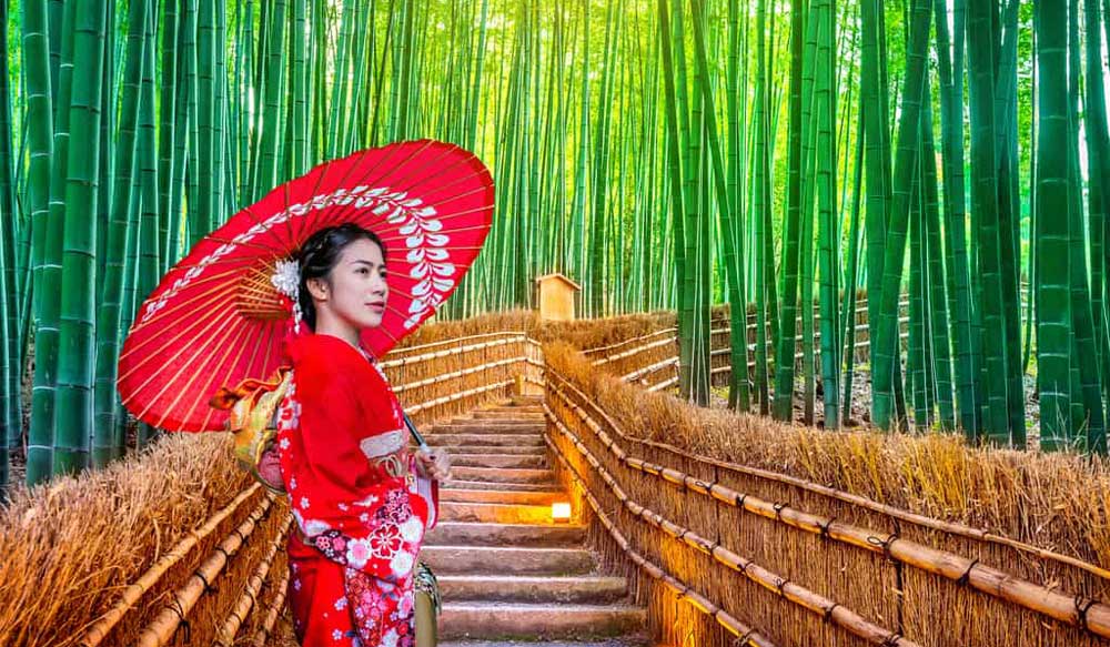 japan_ehsan_dolat_tour_bamboo_3